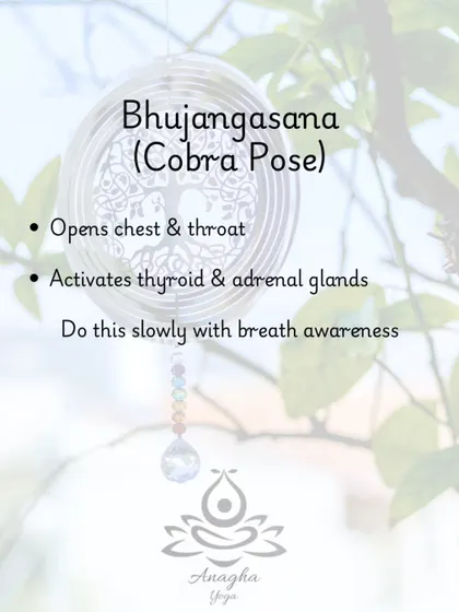 Bhujangasana (Cobra Pose) supports both adrenal and thyroid health by opening the chest and throat area, practiced slowly with breath awareness.