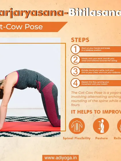 The Cat Cow Pose is a gentle, flowing sequence that connects movement with breath. It is excellent for improving spinal flexibility and relieving stress held in the back and shoulders.