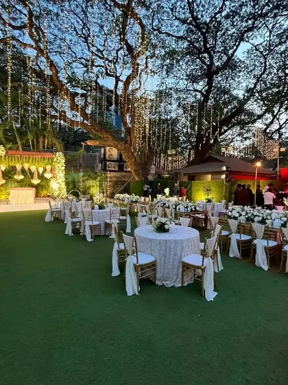 A wider view of the white and green themed engagement setup. The large tree adorned with lights becomes a stunning natural centerpiece for the event.