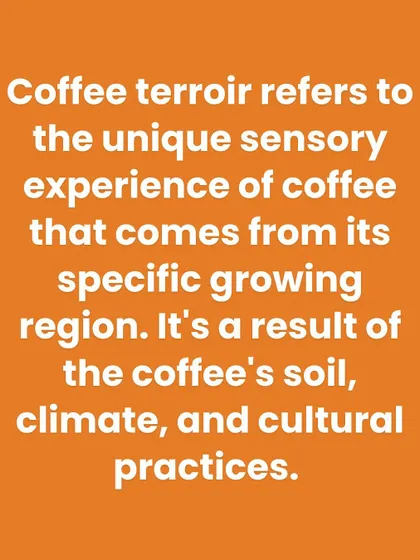 A simple text explanation of coffee terroir, covering the environmental and agricultural factors that create a coffee's unique sensory experience.