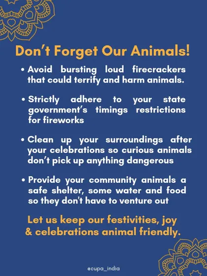 This guide offers tips for an animal friendly Diwali. It includes avoiding loud firecrackers, cleaning up after celebrations, and providing shelter for community animals.