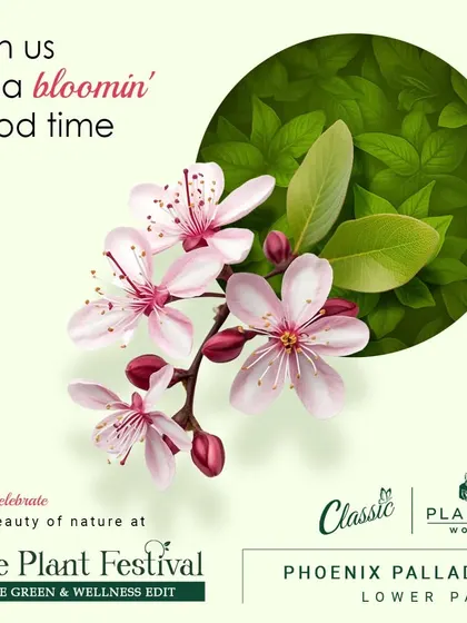 Join us for a bloomin' good time. Our festivals feature a stunning array of flowering plants that bring color and joy to any space.