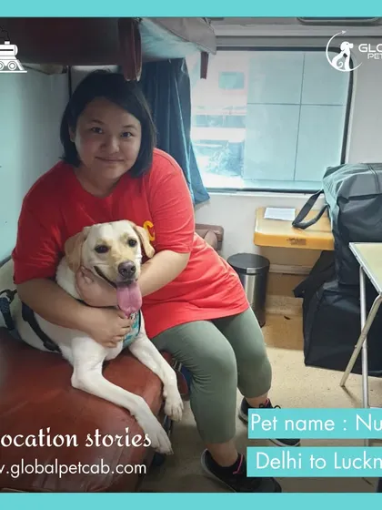 Nunu the Labrador looks happy and comfortable with her owner on their train trip from Delhi to Lucknow. We facilitate pet travel so families can stay together during a move.
