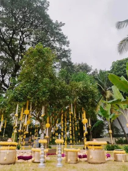 A wide view of the outdoor Haldi setup, showing the arrangement of urlis and seating around the decorated tree. The use of banana plants adds to the traditional South Indian feel.