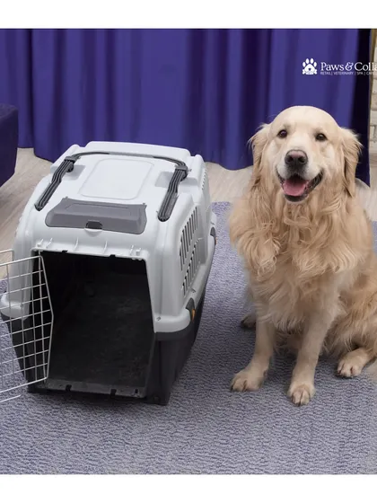 A happy Golden Retriever sits patiently next to an IATA-compliant travel crate. We help you select the right size and type of crate and guide you through the process of crate training for a comfortable travel experience.