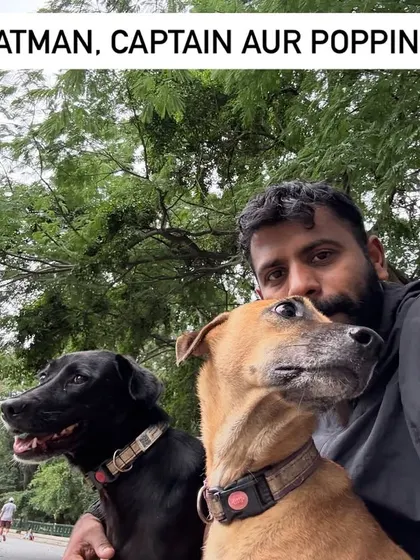 Never a dull moment with my buddies, Batman and Poppins.