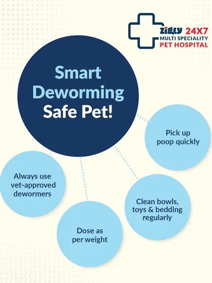 Smart deworming is crucial for a safe pet. This infographic shares key tips, including using vet-approved dewormers and maintaining a clean environment.