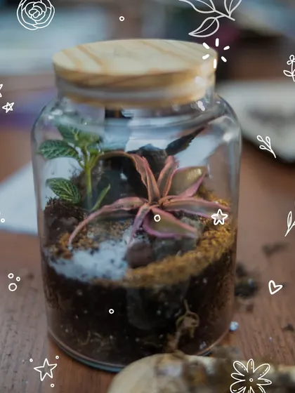 A finished terrarium, a complete and beautiful ecosystem captured in glass. These miniature gardens are designed to be self-sustaining, thriving with just a little light and care.