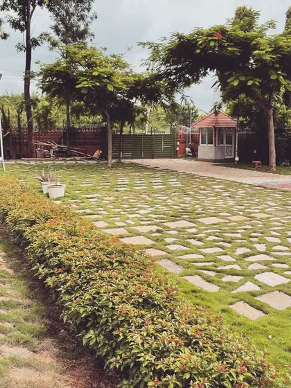 This farmhouse driveway in Sarjapur showcases a practical and aesthetic hardscaping solution. The stone pavers set within the lawn create a durable surface that blends naturally with the expansive green landscape and mature trees.