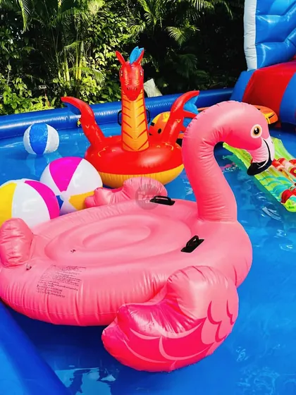 A close-up of the fun floats in the pool, including a pink flamingo and a red dragon.