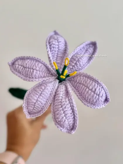 A close look at the beautiful lavender crochet lily. This color is so calming and elegant, perfect for a sophisticated floral arrangement or as a single stem.