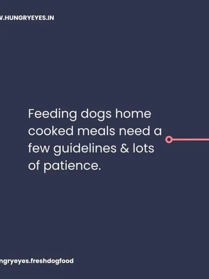 Feeding dogs home-cooked meals requires a few guidelines and a lot of patience, but the rewards are immeasurable. We're here to guide you.