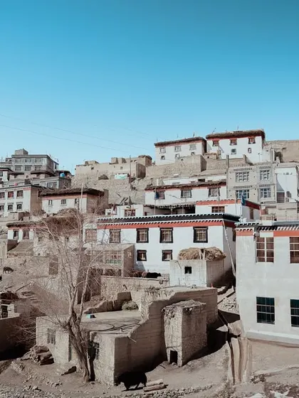A series of images capturing the life and landscapes around Spiti's villages and monasteries. These photos feature local people, homes nestled in the hills, and the ever-present mountain dogs.