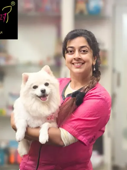 Sweety the Pomeranian is looking sweet and confident. A fluffy haircut brings out the best in this breed's cheerful personality.