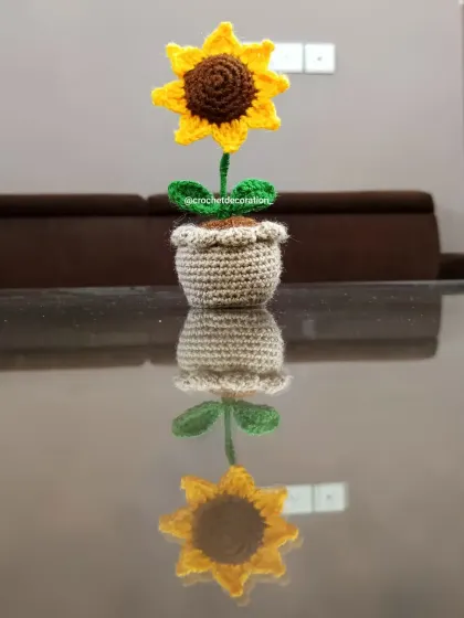 An artistic shot of our potted sunflower with its reflection. These little pots look great on glass tables and shelves.