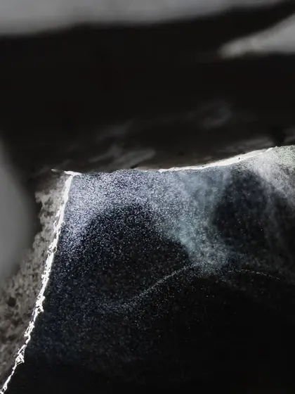 A different angle of the mushroom sporulation, with light catching the cloud of spores as they drift away.