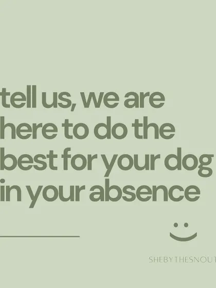 Please don't hesitate to tell me everything. I am here to do the best for your dog, and the more I know, the better care I can provide.