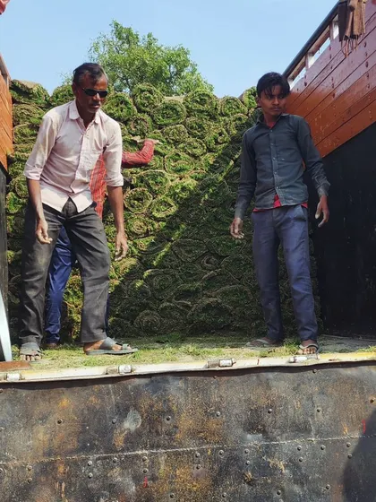 Two workers inside a truck, carefully stacking turf to maximize space and ensure safe transport.