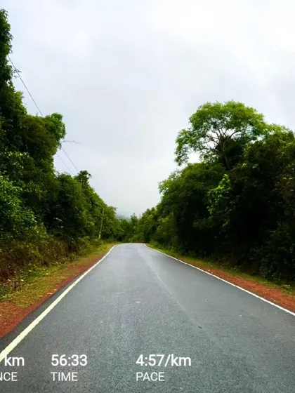 "Your outer journey may contain a million steps; your inner journey only has one: the step you are taking right now." A quote from Eckhart Tolle that perfectly captures the mindful presence I find while running on a quiet, open road.