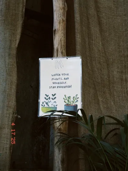 A friendly reminder to water your plants, and yourself. Staying hydrated is key for all living things.