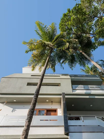 An upward view of the Bangalore residence, showing how the architectural form interacts with the tall, mature palm trees on the site. We prioritize preserving the natural context in our urban projects.