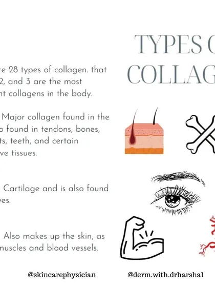 Our bodies contain many types of collagen, but Types 1, 2, and 3 are the most abundant. This guide breaks down where each type is found, from skin and bones to cartilage and blood vessels.