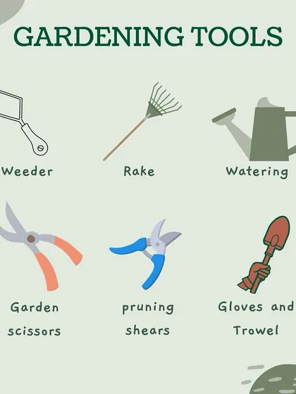 Having the right gardening tools makes all the difference. I stock essential tools like trowels, pruning shears, watering cans, and gloves to make your gardening tasks easier.