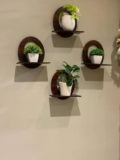 These modern, circular wall shelves are a stylish way to display small potted plants. They add a decorative touch to the wall next to the entrance, creating a warm and inviting first impression.