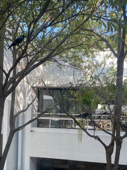 A quiet view of the campus, where nature and architecture coexist.