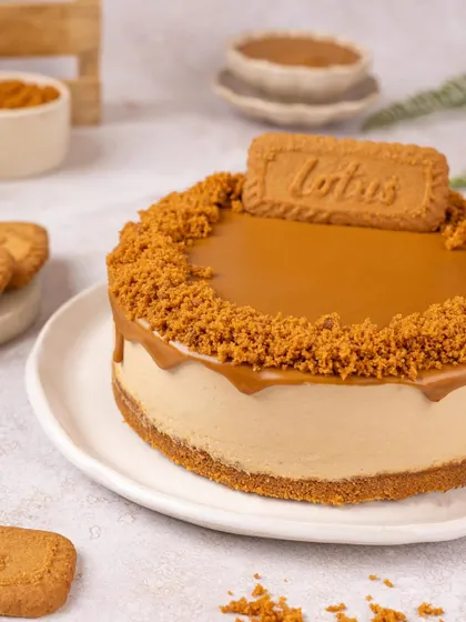 A perfect Lotus Biscoff cheesecake, showing the smooth top, crumbly crust, and signature drip.