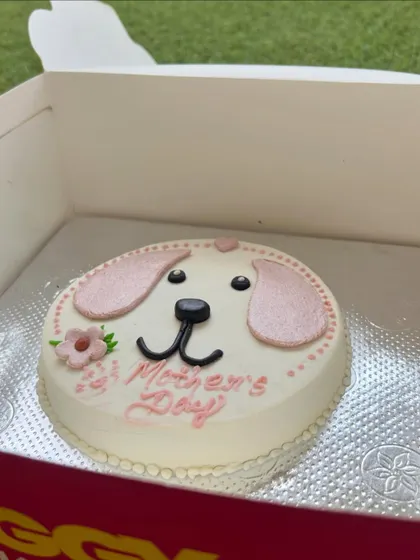 A duplicate of image 20, showing the Mother's Day cake in its box.
