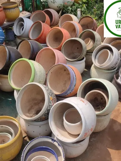 Another view of my extensive ceramic pot collection.