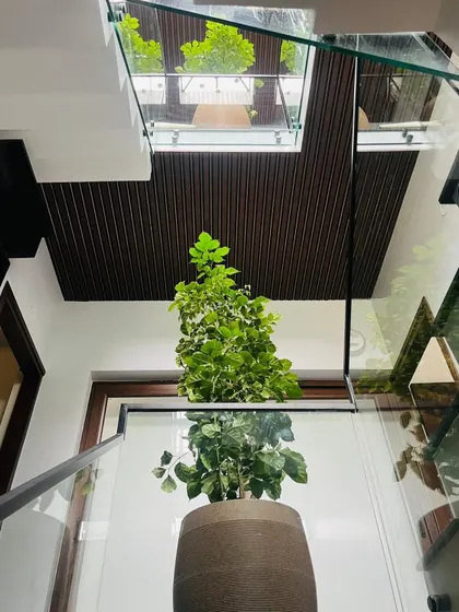 Looking up through a glass ceiling in a multi-story home. We placed a tall, variegated China Doll plant in this central spot, allowing it to grow towards the light and connect the different floors with a single column of green.