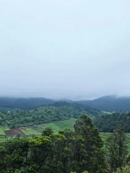 Looking up at the sky in a foggy mountain landscape. This image captures the feeling of being small in the face of nature's grandeur.