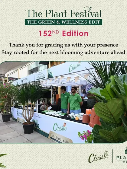 A thank you to our community and a look at the Classic Nursery stall from our 152nd edition. Our partners are essential to the festival's success.