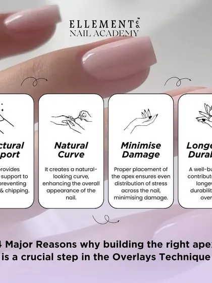 Four major reasons why building the right apex is a crucial step. It provides structural support, creates a natural curve, minimizes damage, and ensures longevity.