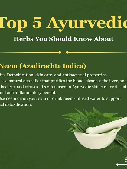 Neem is a natural detoxifier that purifies the blood and cleanses the liver. It is often used in Ayurvedic skincare for its anti-acne benefits.