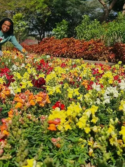 Here I am in a field of colorful snapdragons. I love using seasonal flowers like these in my landscape designs to provide waves of bright, cheerful color throughout the year.