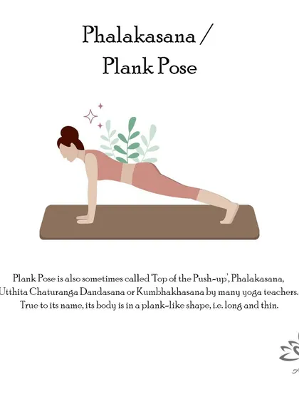 Phalakasana (Plank Pose) is a core-strengthening pose that tones the entire body, enhances balance, and builds stability in the arms and wrists.