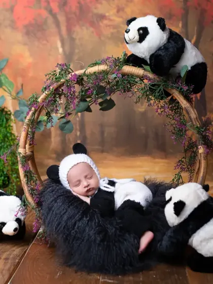 A full view of the enchanting panda-themed newborn setup. The woodland backdrop and adorable props create a complete story for your baby's first portraits.
