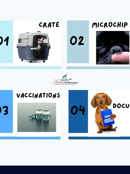 The four pillars of a successful pet relocation are a proper crate, a compliant microchip, up-to-date vaccinations, and correct documentation. We manage all four to ensure your pet is ready for travel.