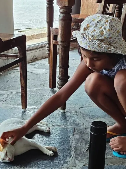 Empathy extends to all creatures, big and small. A child takes a moment to connect with a friendly local cat, learning that kindness is a universal language.