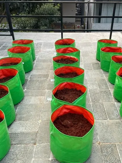 Preparing for planting with high-quality soil and grow bags, an effective solution for creating gardens on terraces and paved areas.
