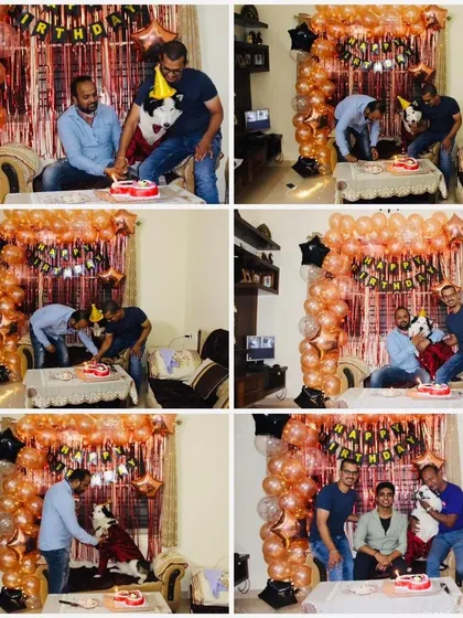 A full birthday bash for Oscar the Husky. These photos show the whole celebration, from his dapper party outfit and custom cake to the joyful moments with his entire family. We help make these core memories happen.