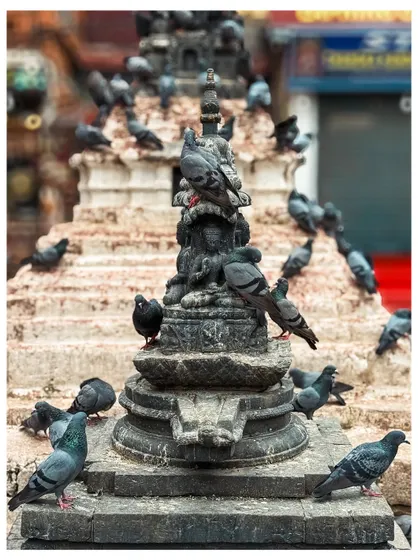 The Kaathe Swayambhu Shree Gha Chaitya stupa in Kathmandu, covered in pigeons. This site serves as a miniature replica for pilgrims who cannot visit the main Swayambhunath Temple.