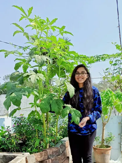 Standing proudly next to my 'Star of David Okra' plant which grew taller than me. It's amazing to see how big plants can get even in a limited space.