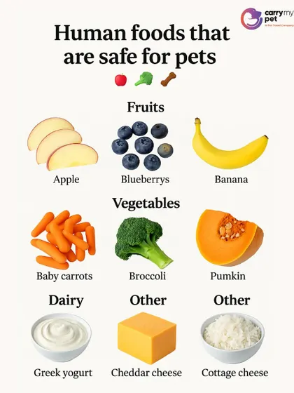 Wondering which human foods are safe for your pet? This infographic shows safe options like apples, carrots, and pumpkin, but always remember moderation is key.