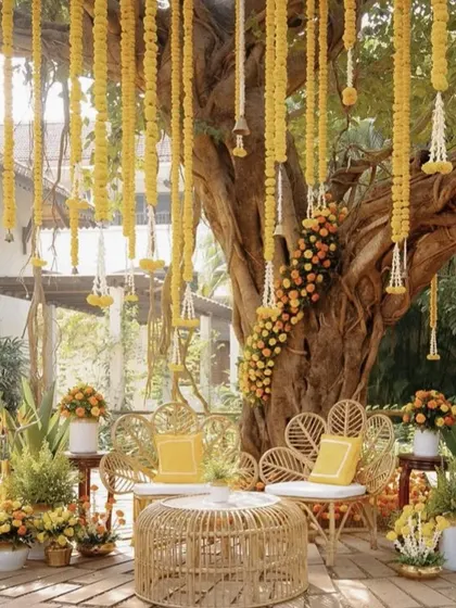 A rustic and charming Mehendi seating area under a large tree, decorated with hanging marigold strings and cane furniture.