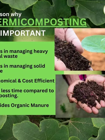 We use vermicomposting to create rich, organic manure for our soil. This natural process is cost-effective, helps manage waste, and provides all the nutrients our plants need to grow strong and healthy.