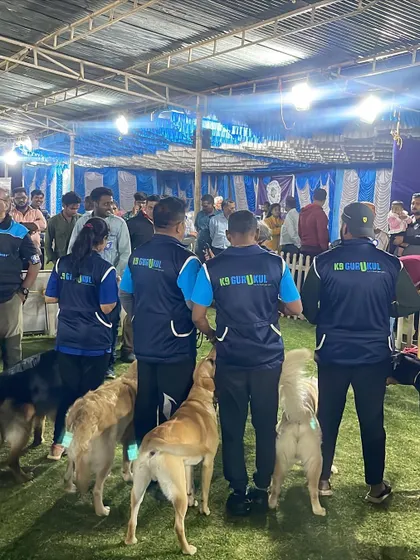 Our team and their dogs ready for competition.